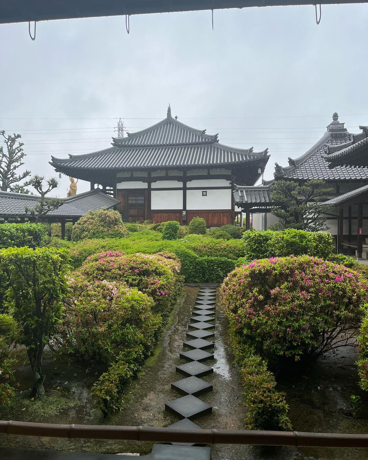法雲寺の庭。つつじの植え込みの間に飛び石が続き、奥に本堂